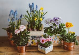 flowers are great church Stage Ideas